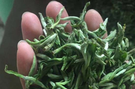 茉莉茶如何制作曬干，自制茉莉茶的做法