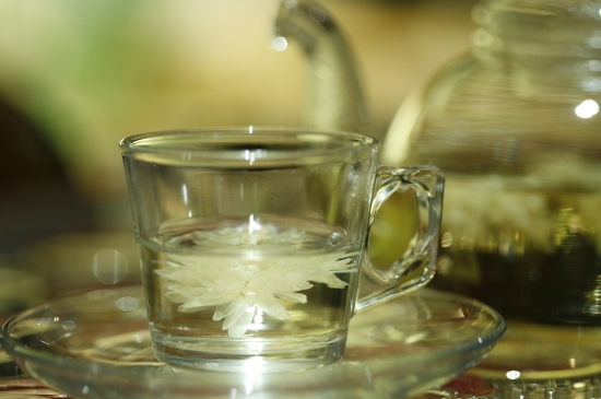 菊花茶天天喝行嗎，每天喝菊花泡茶喝好嗎？