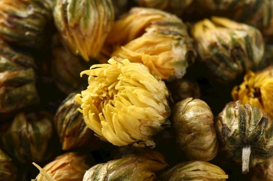 蒲公英搭配大全，蒲公英泡水喝的8種搭配