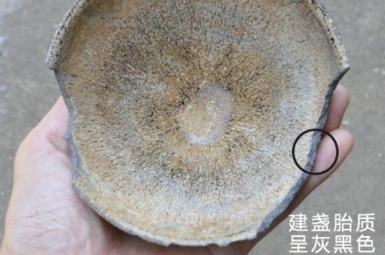 假建盞的特點(diǎn)，真假建盞區(qū)分帶圖