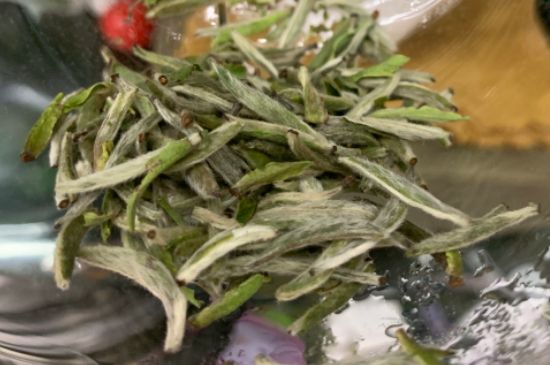 蒸汽煮茶器適合什么茶，蒸汽煮茶器適合用綠茶嗎？