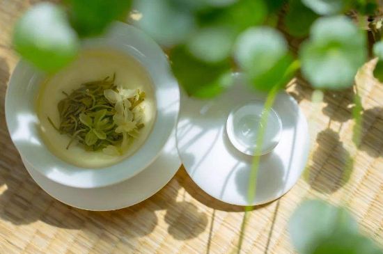 茉莉花茶6種人不要喝，什么體質(zhì)不適合喝茉莉花茶？