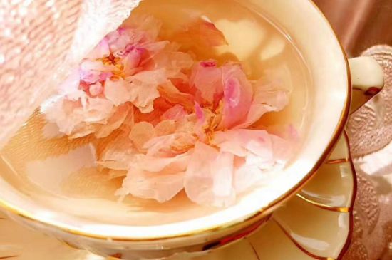 玫瑰花茶一周喝幾次，玫瑰花茶可以天天喝嗎？
