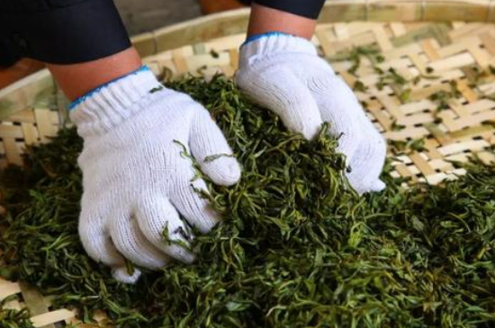 綠茶加工工藝流程圖，綠茶的加工制作包含哪幾個(gè)步驟？