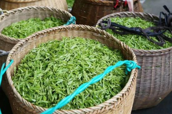 茶葉怎么炒制才香，怎樣炒茶葉更香？