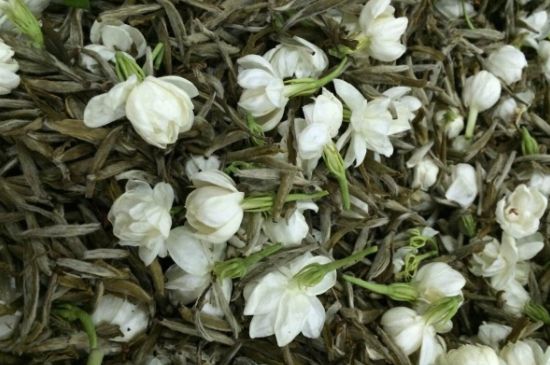 茉莉銀針口感，茉莉銀針是什么味道？