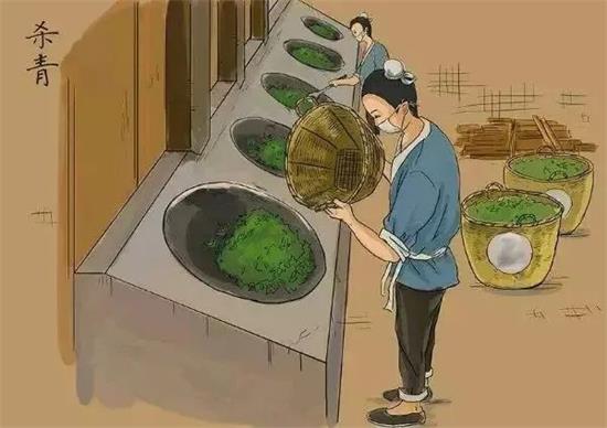 制茶八步驟，制茶工藝流程圖