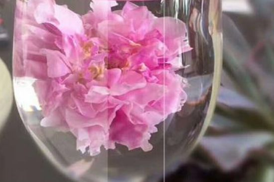 干玫瑰花泡水放幾顆，玫瑰花泡水一次放幾朵？