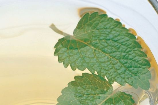 薄荷葉茶怎么制作，薄荷如何做成干茶葉