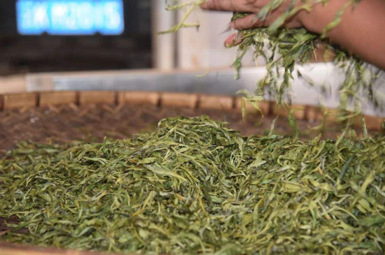 炒青綠茶與綠茶的區(qū)別，烘青和炒青哪個(gè)好喝？