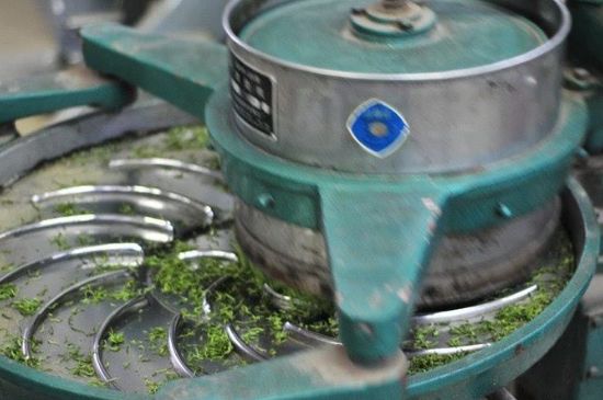 武夷巖茶的初制、精制加工工藝詳細講解