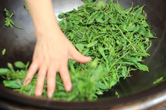 炒青綠茶與綠茶的區(qū)別，烘青和炒青哪個(gè)好喝？