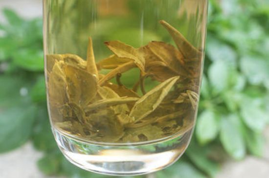 茉莉龍珠泡開后為什么都是梗，茉莉龍珠泡開后什么樣？