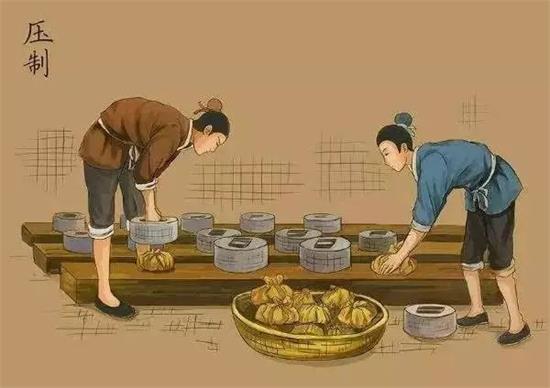 制茶八步驟，制茶工藝流程圖