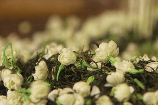 蒸茶器可以蒸花茶嗎，蒸茶器能用來蒸茉莉花茶嗎？