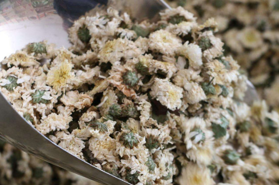 菊花茶買小朵還是大朵，泡茶用的小菊花和大菊花哪個(gè)好