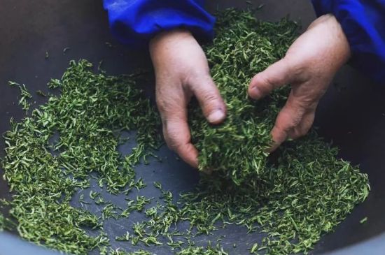 自家炒茶葉怎么炒，自己炒茶葉的步驟