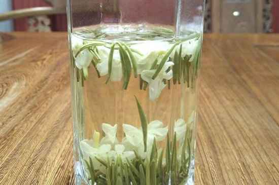 女孩喝茉莉茶的好處，茉莉茶葉的功效與禁忌