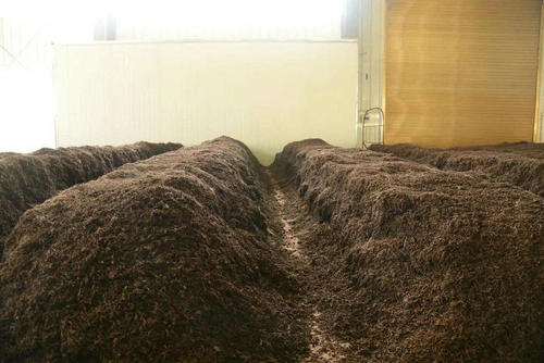 制茶八步驟，制茶工藝流程圖