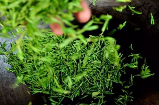 龍井茶炒茶葉怎么炒出好茶色，茶葉怎樣做出來最綠？