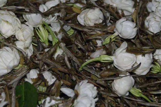 茉莉龍珠怎么做的，茉莉龍珠的制作工藝