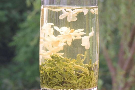 茉莉龍珠可以和什么一起泡茶，茉莉龍珠茶能加蜂蜜嗎？