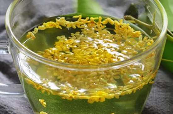 茉莉茶一次泡幾朵，茉莉茶放多少