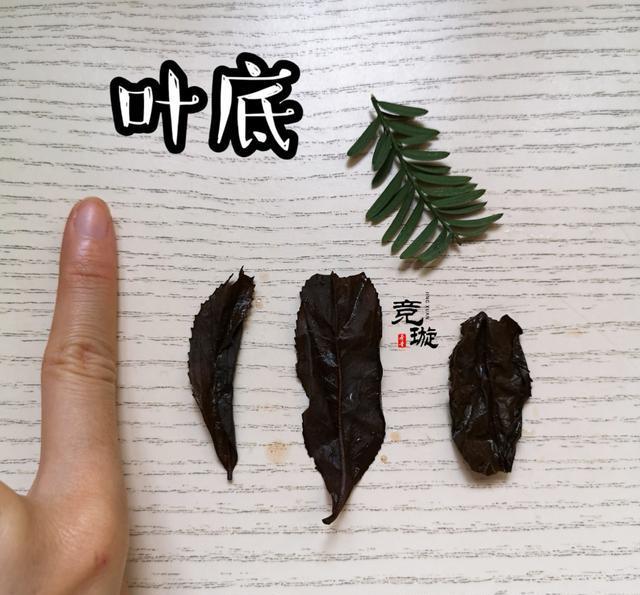 正山小種很細(xì)還很黑亮，正山小種越細(xì)越好嗎