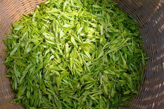 烏牛早和龍井的區(qū)別圖片，龍井43號和烏牛早茶的對比