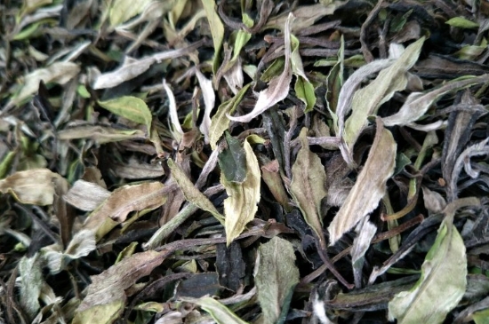 福鼎白茶貢眉和壽眉的區(qū)別，壽眉與貢眉有什么區(qū)別