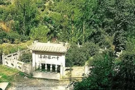 母樹大紅袍給誰喝了，為什么母樹大紅袍叫三棵六株？