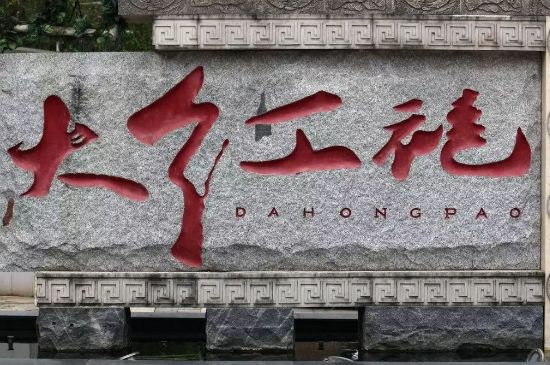 母樹大紅袍給誰喝了，為什么母樹大紅袍叫三棵六株？