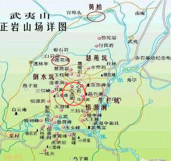 母樹大紅袍給誰喝了，為什么母樹大紅袍叫三棵六株？