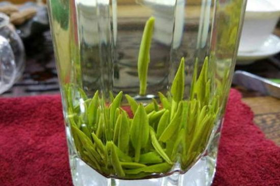 雀舌有一股青草味，雀舌為什么有青草味？