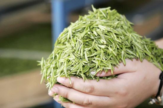 高山云霧茶屬于什么茶，高山云霧茶哪里的最好