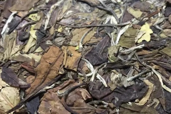 老白茶上火還是去火？夏季喝煮的老白茶會容易上火！