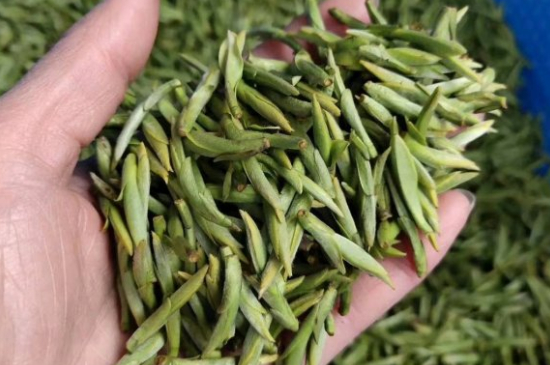 龍井茶好壞的鑒別圖片，如何區(qū)別龍井茶的好壞？