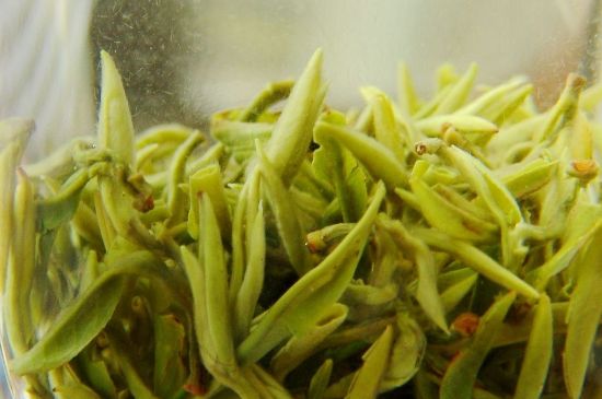 碧螺春為什么泡水渾濁，碧螺春茶葉泡水感覺很臟是混濁的