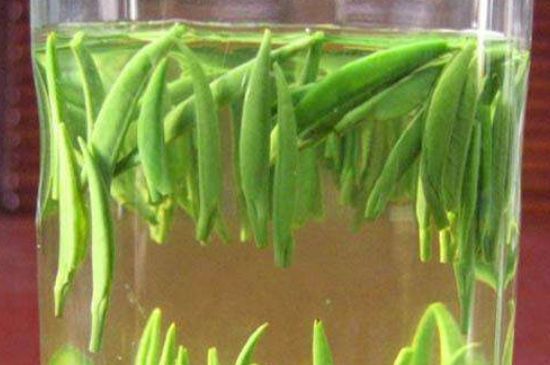 竹葉青和毛尖的區(qū)別，毛尖和竹葉青怎么分辨？