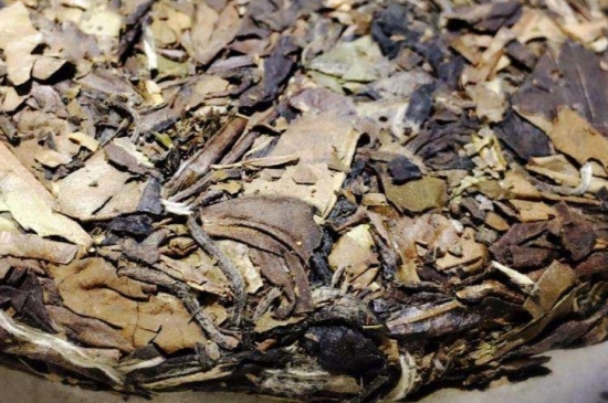 煮茶的步驟圖解，正確的煮白茶方法！