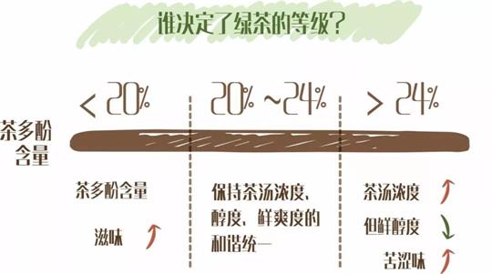 什么綠茶口味重口感濃郁，口味比較重的綠茶都有那些？
