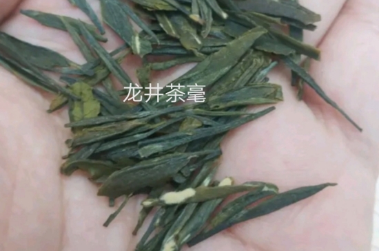西湖龍井茶毫和發(fā)霉區(qū)別圖片，長霉的龍井茶葉會是什么樣？