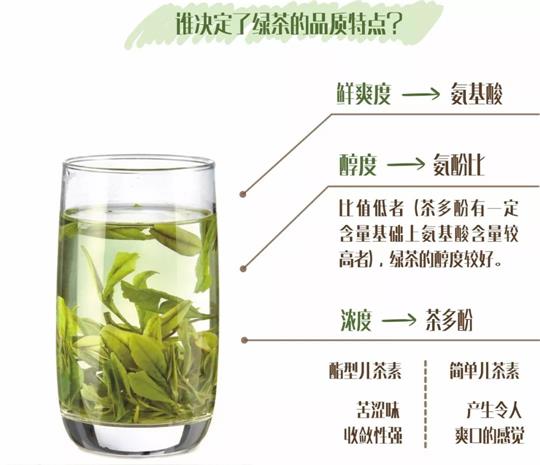什么綠茶口味重口感濃郁，口味比較重的綠茶都有那些？