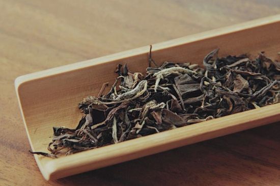 怎么撬老白茶茶餅不容易碎，福鼎白茶如何撬茶方法