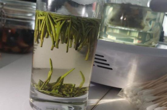 金壇雀舌算不算好茶，金壇雀舌屬于什么檔次茶葉？