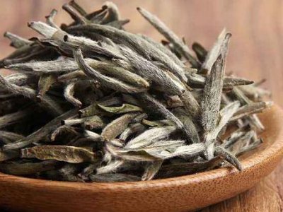 白茶有哪些品種排名，<a href=http://m.hospitalantoniolorena.com/fenlei/baicha/ target=_blank class=infotextkey>白茶的種類</a>大全