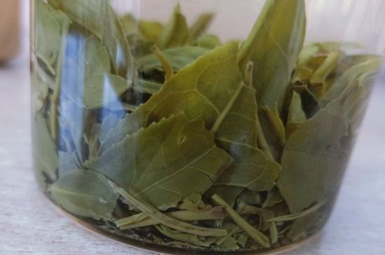 綠茶陳茶和新茶區(qū)別，綠茶怎樣區(qū)分新茶和陳茶