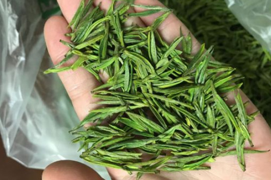 什么綠茶茶葉唇齒留香，哪個品種綠茶香氣好？
