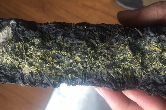 怎么知道涇渭茯茶是否變質，茯磚茶金花和發(fā)霉的區(qū)別