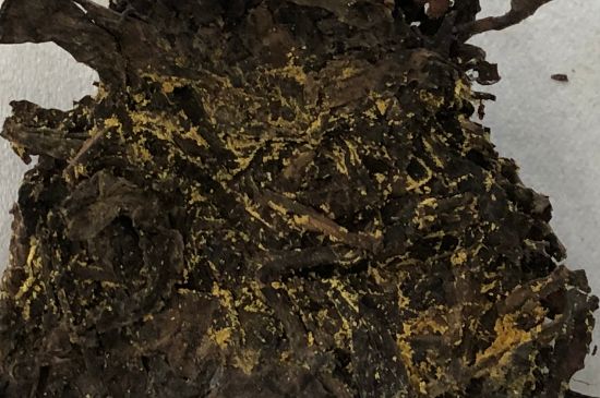 怎么知道涇渭茯茶是否變質，茯磚茶金花和發(fā)霉的區(qū)別